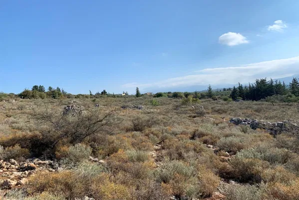 Seafront 25,000 m² Land for Sale in Vamos, Apokoronas — photo 5