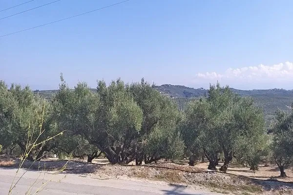 Seafront 1,000 m² Plot of Land for Sale in Darmarochori, Platanias — photo 4