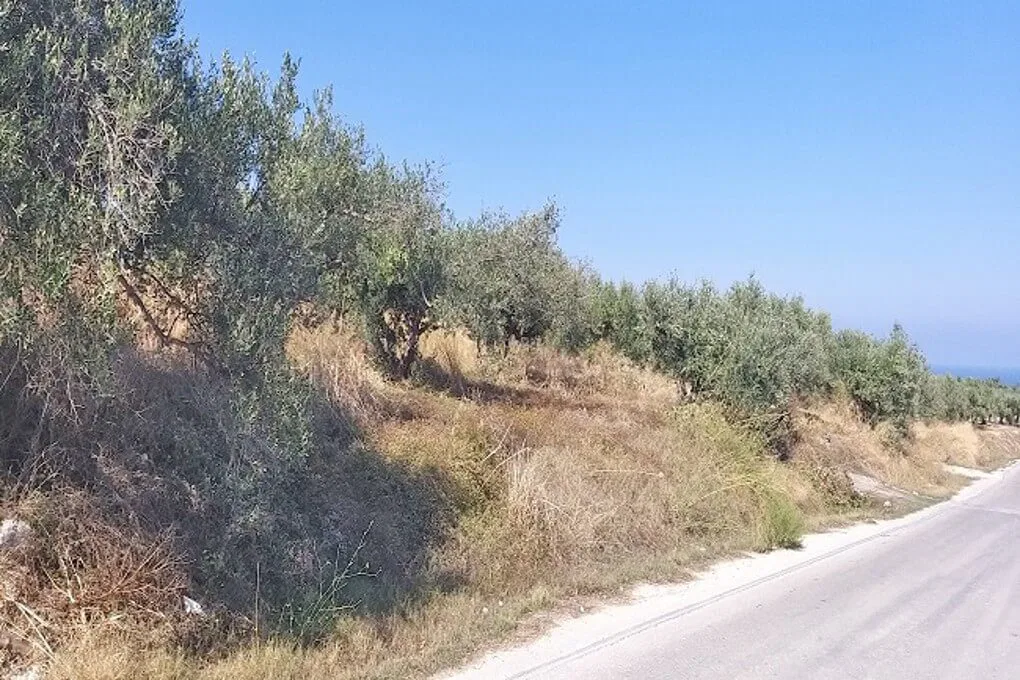 Seafront 1,000 m² Plot of Land for Sale in Darmarochori, Platanias