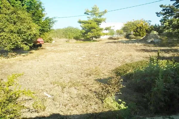 Seafront 600 m² Plot for Sale in Chorafakia, Akrotiri — photo 3