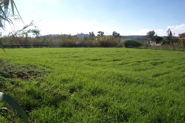 Sea-View 2,200 m² Plot of Land for Sale in Tavronitis, Platanias — photo 3