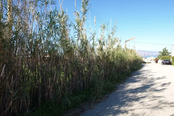 Sea-View 2,200 m² Plot of Land for Sale in Tavronitis, Platanias — photo 2