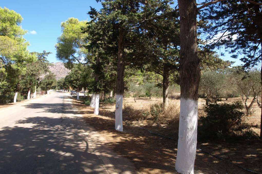 Seafront 2,530 m² Plot of Land for Sale in Agia Triada, Akrotiri
