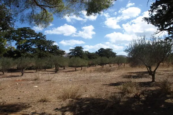 Seafront 2,530 m² Plot of Land for Sale in Agia Triada, Akrotiri — photo 5