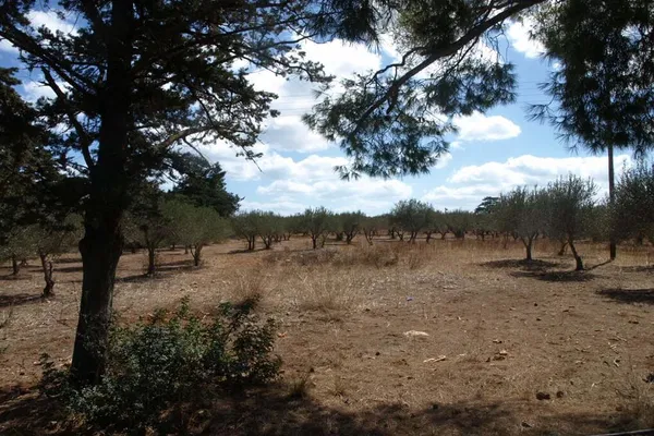 Seafront 2,530 m² Plot of Land for Sale in Agia Triada, Akrotiri — photo 4