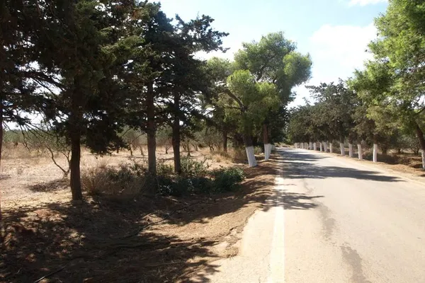 Seafront 2,530 m² Plot of Land for Sale in Agia Triada, Akrotiri — photo 3