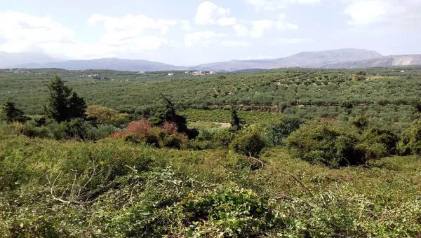 Seafront 6,350 m² Plot of Land for Sale in Kera, Apokoronas — photo 4