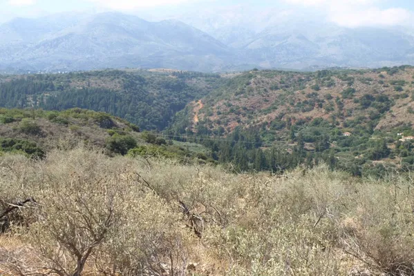 Seafront 40,480 m² Land for Sale in Nio Chorio, Apokoronas — photo 2
