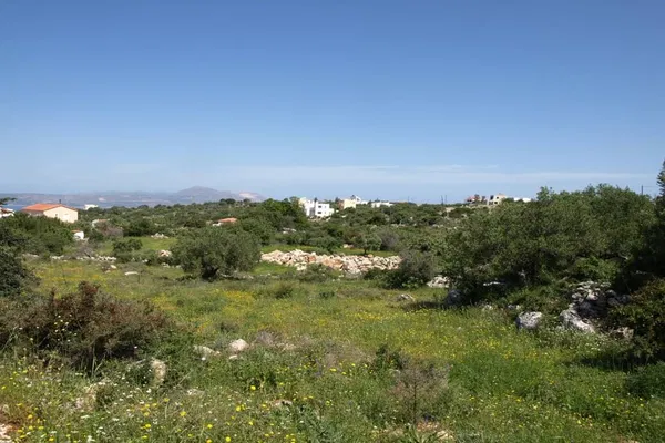 Seafront 13,500 m² Plot for Sale in Kokkino Chorio, Apokoronas — photo 2