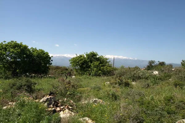 Seafront 13,500 m² Plot for Sale in Kokkino Chorio, Apokoronas — photo 5
