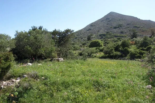 Seafront 13,500 m² Plot for Sale in Kokkino Chorio, Apokoronas — photo 4