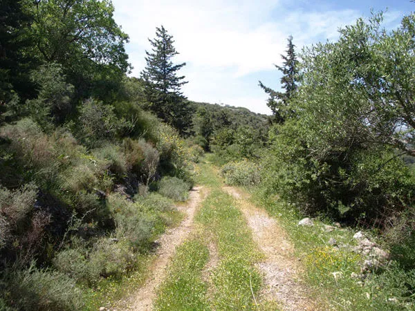 Seafront 4,150 m² Plot of Land for Sale in Gavalochori, Apokoronas — photo 2