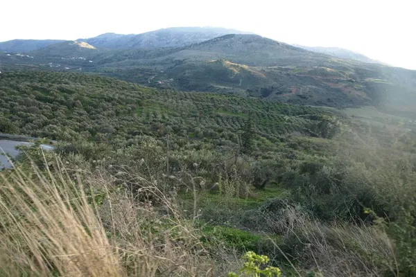Seafront 2,205 m² Plot of Land for Sale in Exopolis, Apokoronas — photo 3
