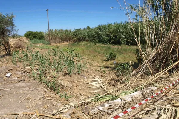 2,003 m² Land for Sale in Platanias, Chania — photo 4