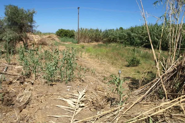 2,003 m² Land for Sale in Platanias, Chania — photo 3