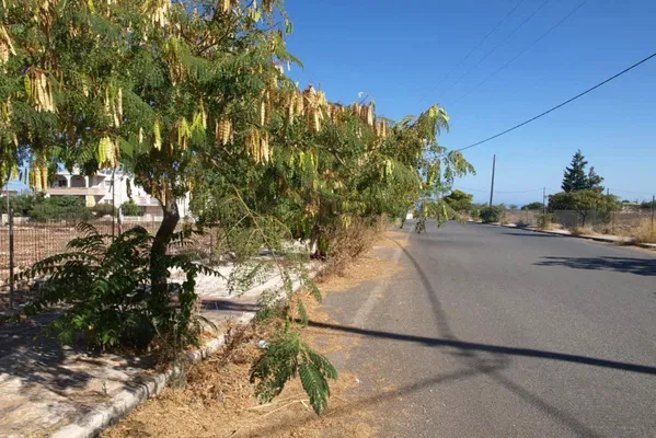 Seafront 1,959 m² Plot for Sale in Profitis Ilias, Chania — photo 3