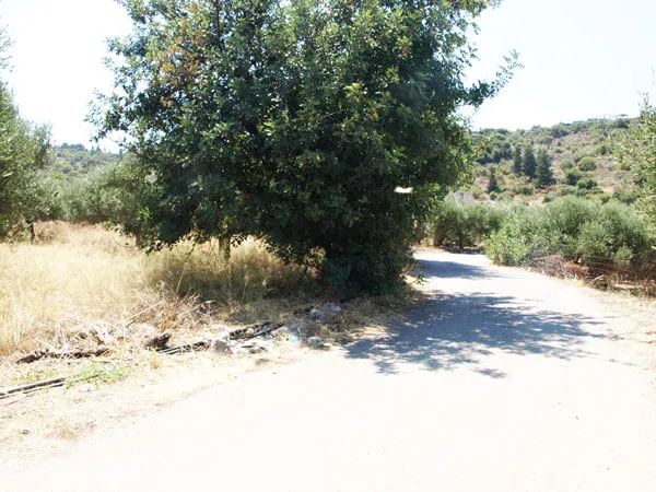 Seafront 2,933 m² Land for Sale in Gavalochori, Apokoronas — photo 3