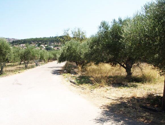 Seafront 2,933 m² Land for Sale in Gavalochori, Apokoronas