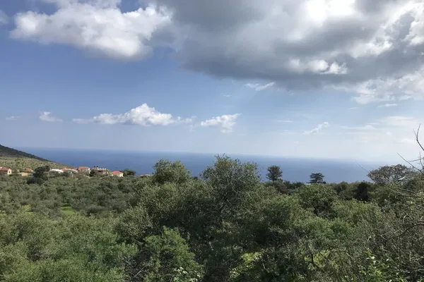 Seafront 10,658 m² Plot of Land for Sale in Likotinara, Apokoronas — photo 3