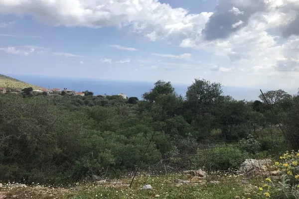 Seafront 10,658 m² Plot of Land for Sale in Likotinara, Apokoronas — photo 2