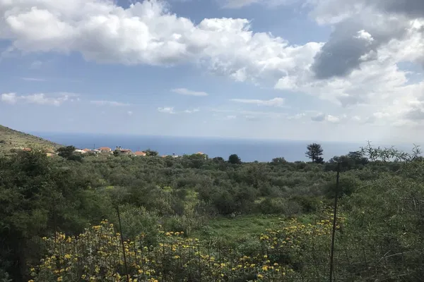 Seafront 10,658 m² Plot of Land for Sale in Likotinara, Apokoronas — photo 5