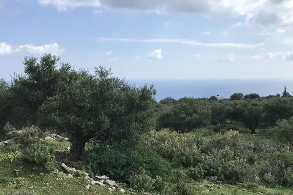 Seafront 10,658 m² Plot of Land for Sale in Likotinara, Apokoronas