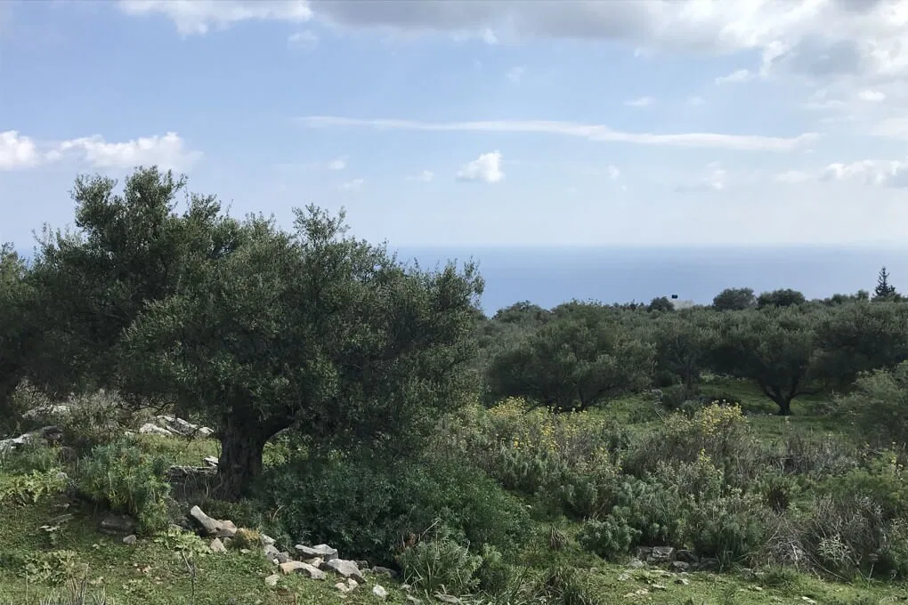 Seafront 10,658 m² Plot of Land for Sale in Likotinara, Apokoronas