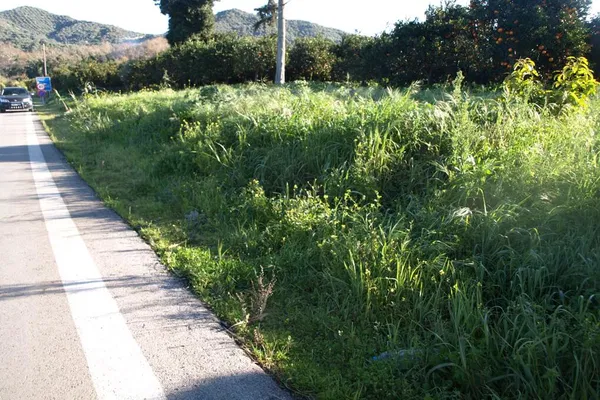 Seafront 3,304 m² Land for Sale in Kirtomado, Platanias