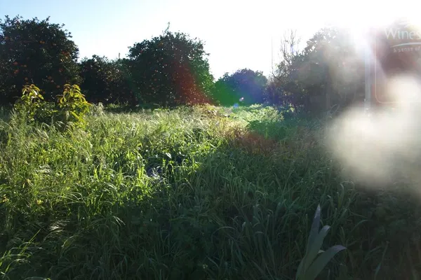 Seafront 3,304 m² Land for Sale in Kirtomado, Platanias — photo 3