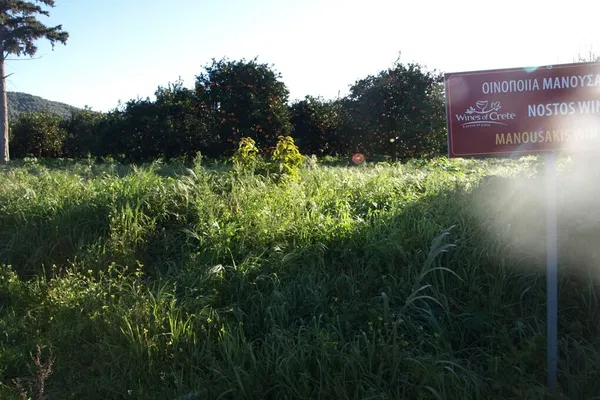 Seafront 3,304 m² Land for Sale in Kirtomado, Platanias — photo 2