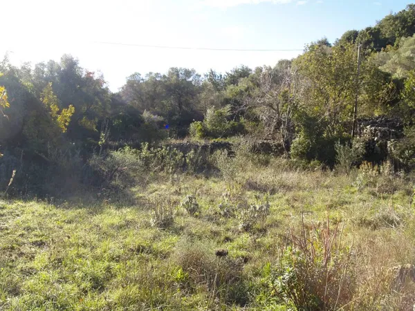 Seafront 2,512 m² Plot for Sale in Alikampos, Apokoronas — photo 4