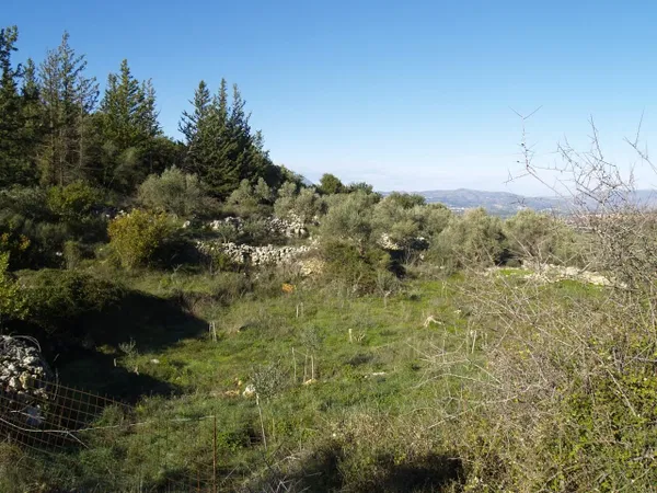 Seafront 2,512 m² Plot for Sale in Alikampos, Apokoronas — photo 3