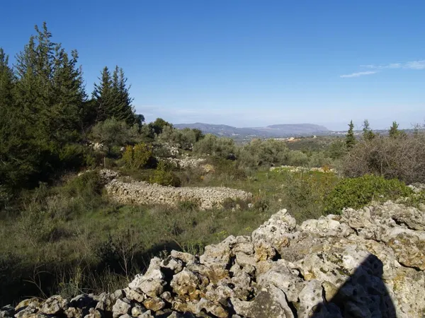 Seafront 2,512 m² Plot for Sale in Alikampos, Apokoronas