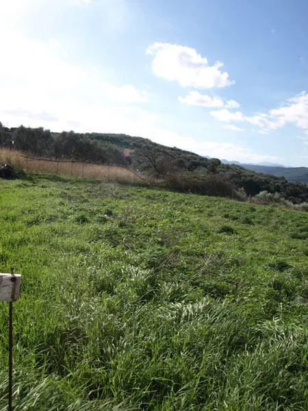 Seafront 400 m² Land for Sale in Vouves, Platanias — photo 4