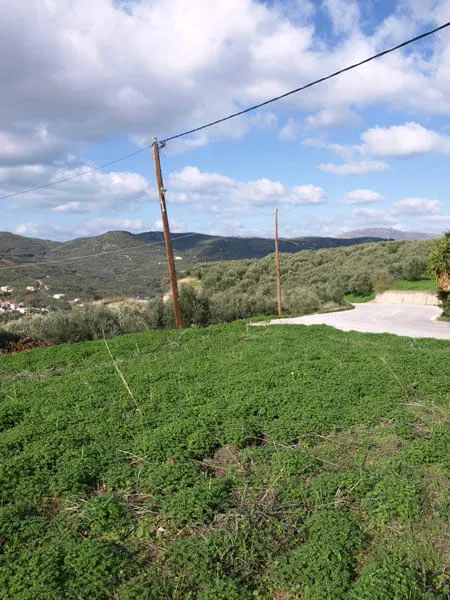 Seafront 400 m² Land for Sale in Vouves, Platanias — photo 2