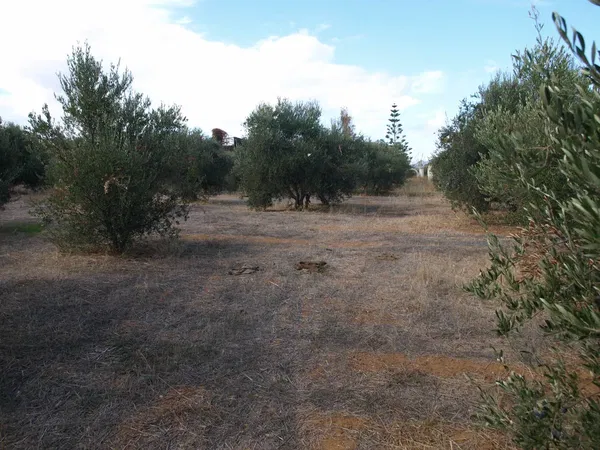 1,244 m² Plot of Land for Sale in Maleme, Platanias — photo 3