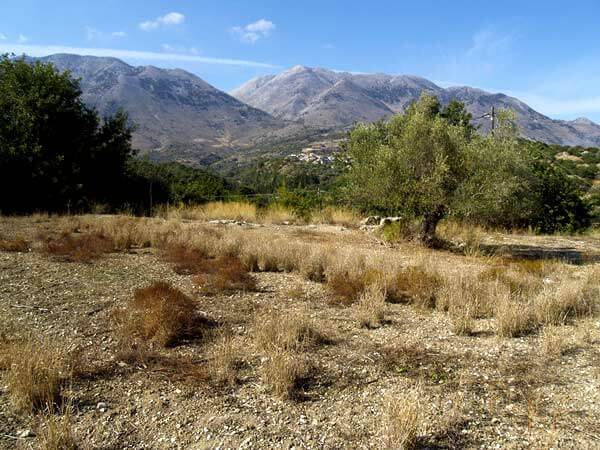 Seafront 1,153 m² Plot for Sale in Kastellos, Apokoronas