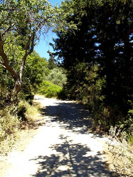 Seafront 8,262 m² Plot for Sale in Fones, Apokoronas — photo 3