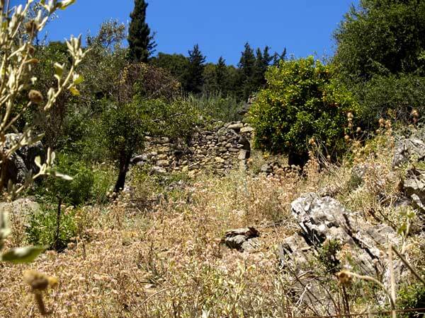 Seafront 8,262 m² Plot for Sale in Fones, Apokoronas — photo 2