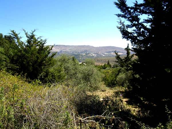 Seafront 8,262 m² Plot for Sale in Fones, Apokoronas
