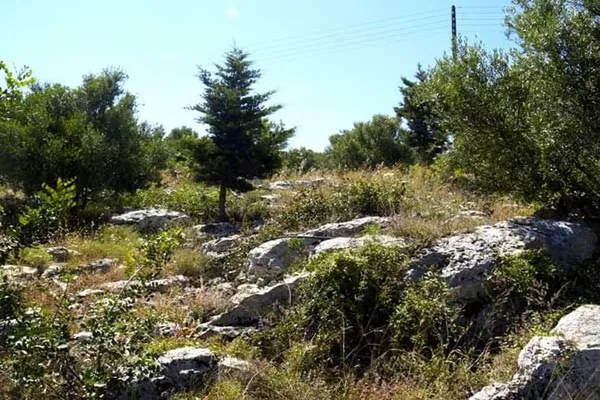 Seafront 6,093 m² Plot of Land for Sale in Plaka Apokoronas, Apokoronas — photo 4