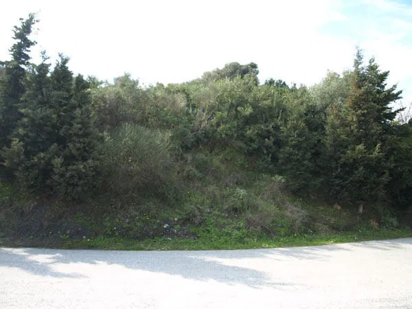 Seafront 1,071 m² Plot for Sale in Plakalona, Kissamos — photo 3