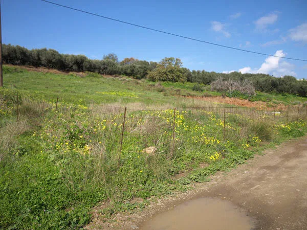 1,000 m² Plot of Land for Sale in Korfalonas, Kissamos