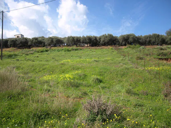 1,000 m² Plot of Land for Sale in Korfalonas, Kissamos — photo 3