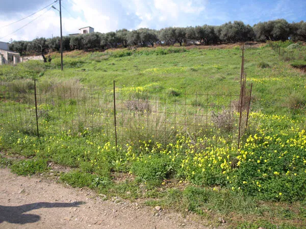 1,000 m² Plot of Land for Sale in Korfalonas, Kissamos — photo 2