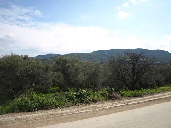 1,528 m² Land for Sale in Kaloudiana, Kissamos — photo 2