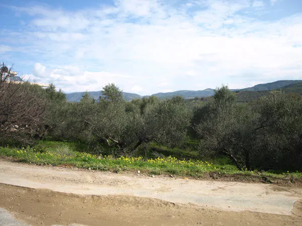 1,528 m² Land for Sale in Kaloudiana, Kissamos