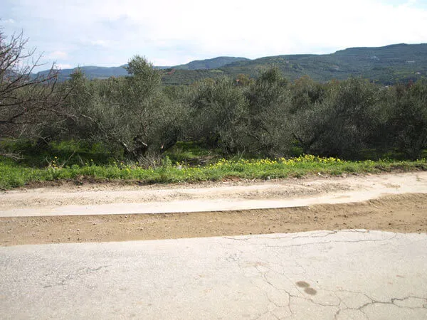 1,528 m² Land for Sale in Kaloudiana, Kissamos — photo 4