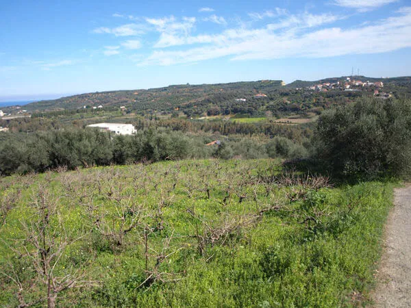 Seafront 1,000 m² Plot of Land for Sale in Polemarchi, Platanias — photo 2