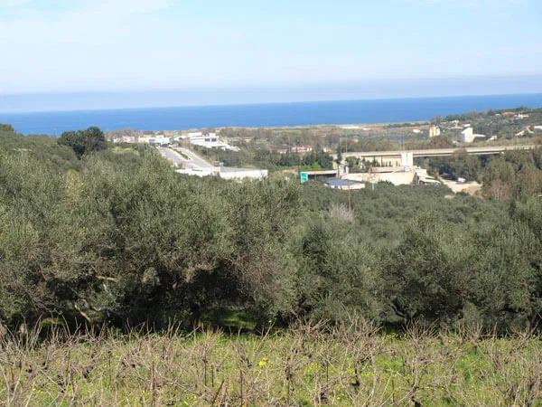 Seafront 1,000 m² Plot of Land for Sale in Polemarchi, Platanias